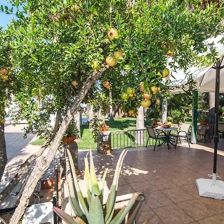Hotel Oasis *