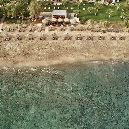 Ferieanlegg Phaea Cretan Malia, A Member Of Design 5*