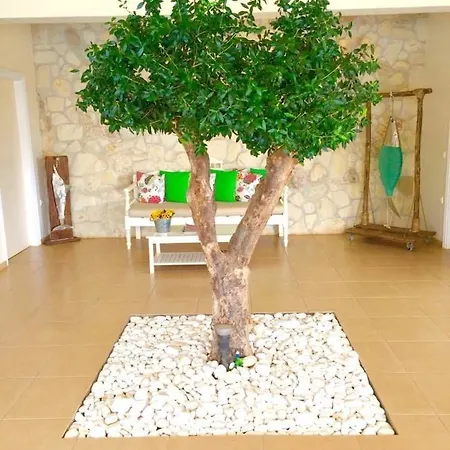Ammos Boutique Apartments & Suites 3* Malia