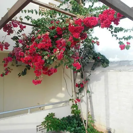 Appartement Summer Dreams *